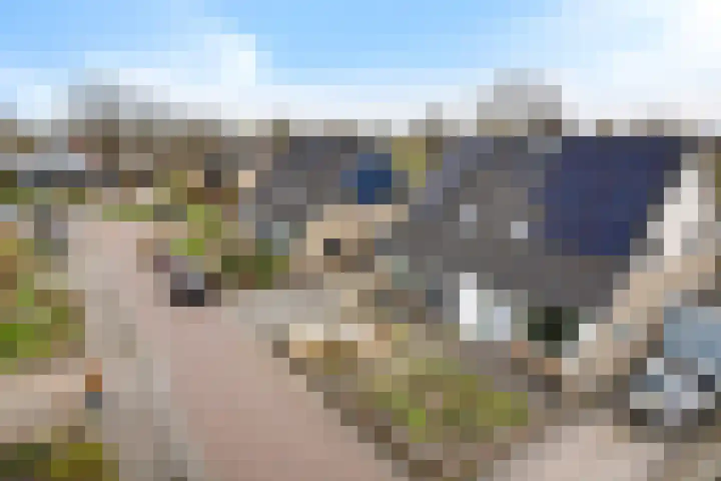 Wine 5 Ureterp thumbnail 39