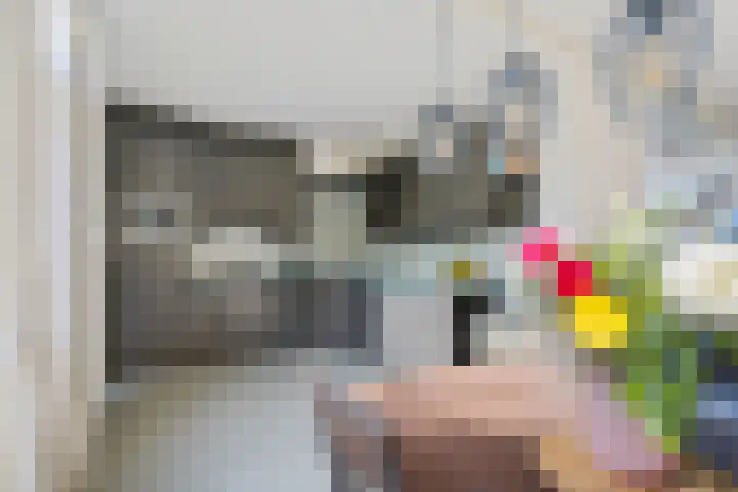 Wine 7 Ureterp thumbnail 10