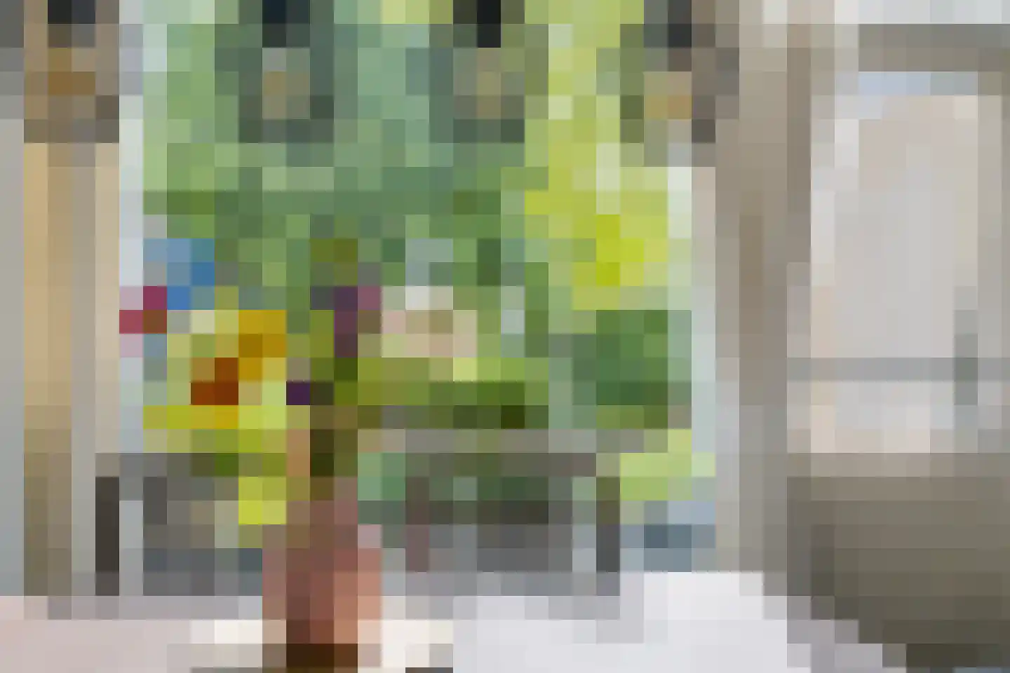 Wine 7 Ureterp thumbnail 10