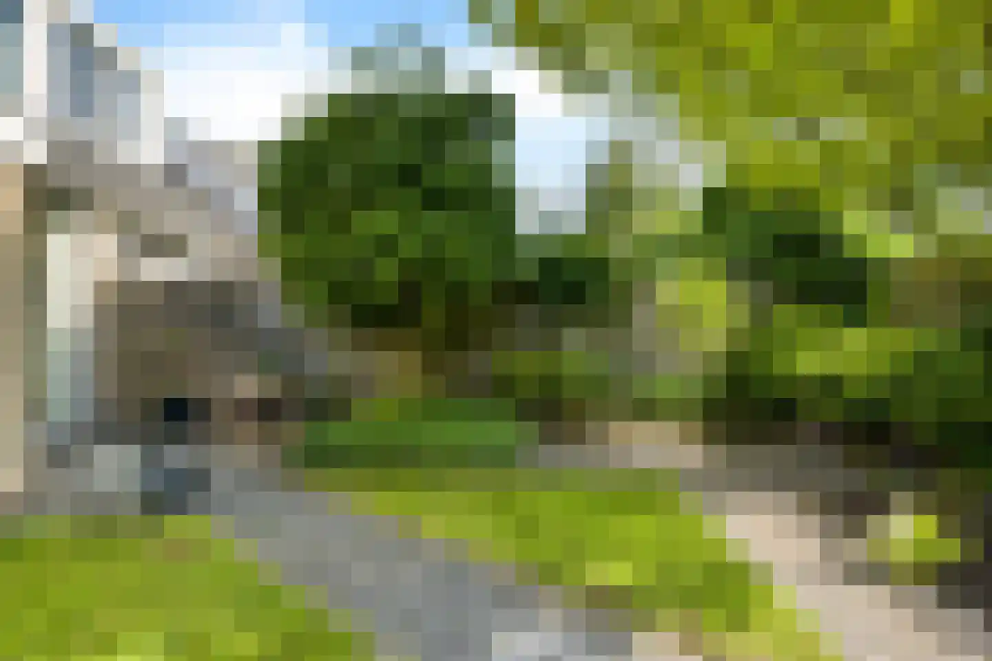 Wine 7 Ureterp thumbnail 36
