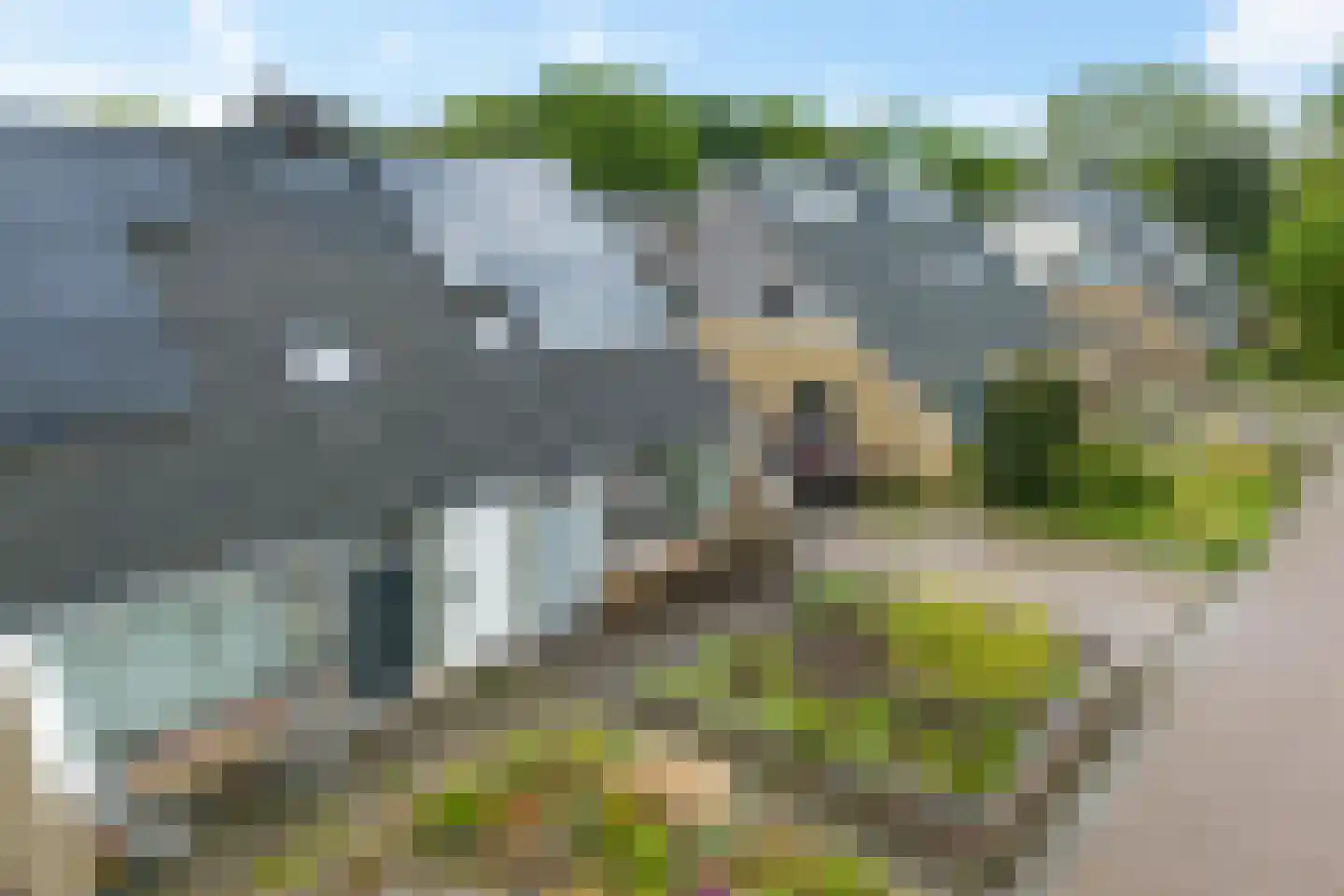 Wine 7 Ureterp thumbnail 42