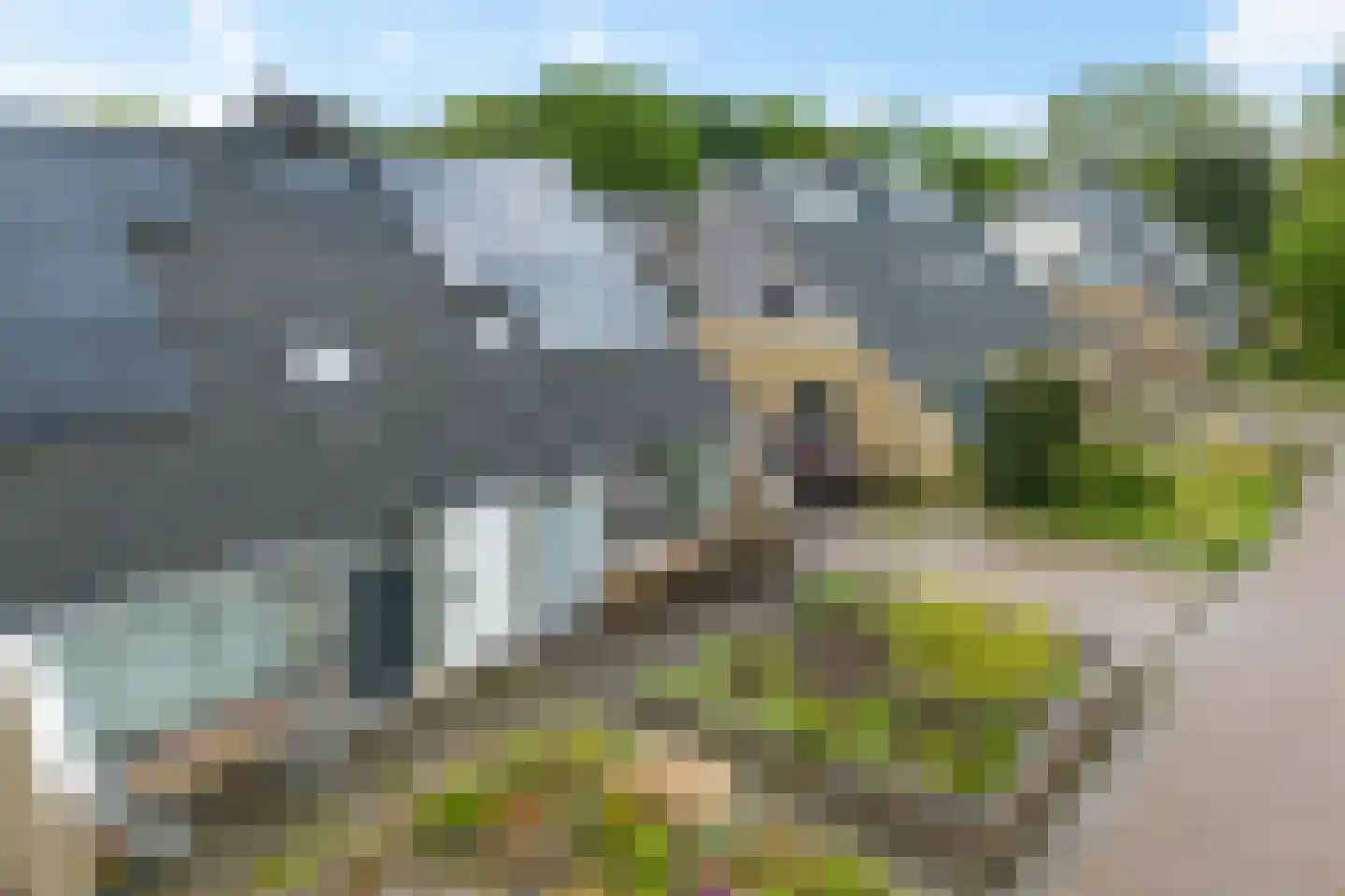 Wine 7 Ureterp thumbnail 43