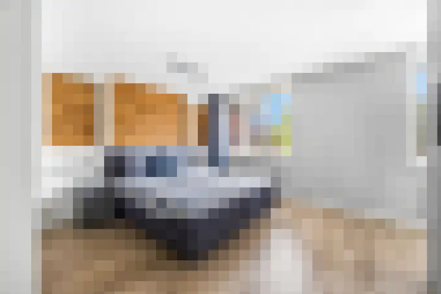 Wingerd 115 Den Haag thumbnail 33