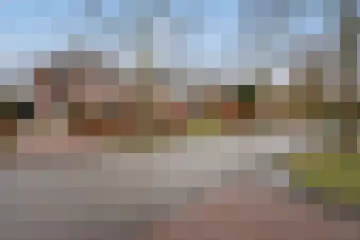 Wingerd 144 Den Haag thumbnail 39