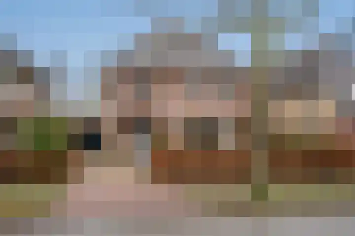 Wingerd 144 Den Haag thumbnail 5