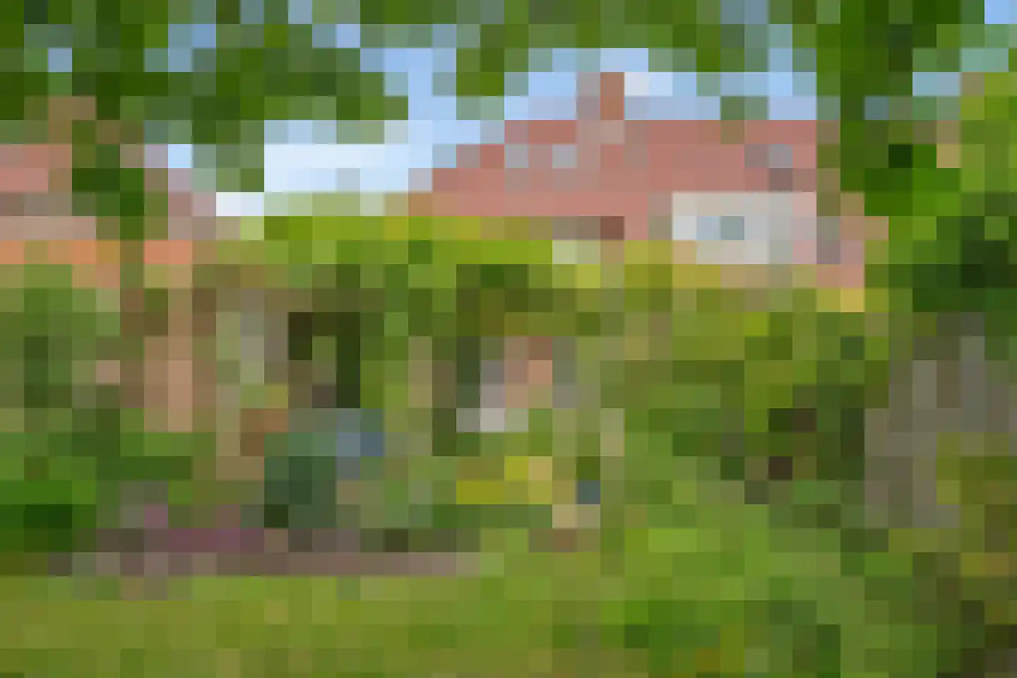 Wingerd 147 Den Haag thumbnail 29