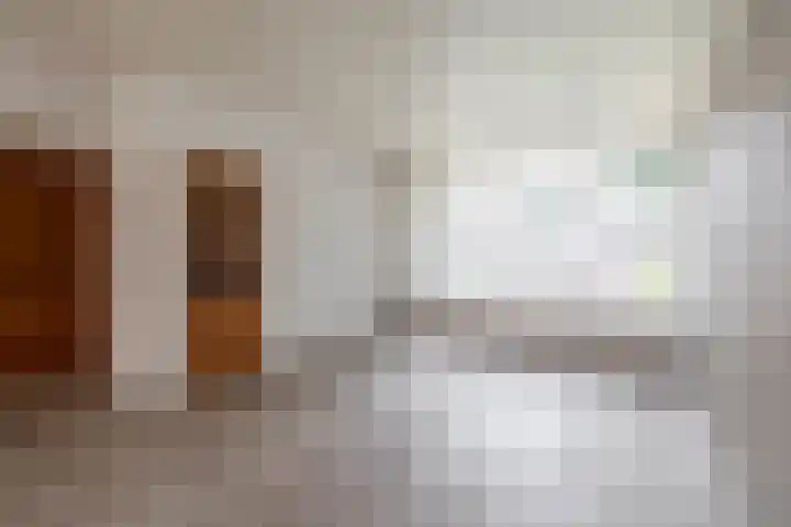 Wingerd 16 Geldrop thumbnail 13