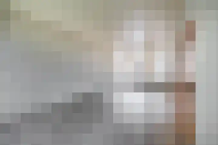 Wingerd 16 Geldrop thumbnail 14