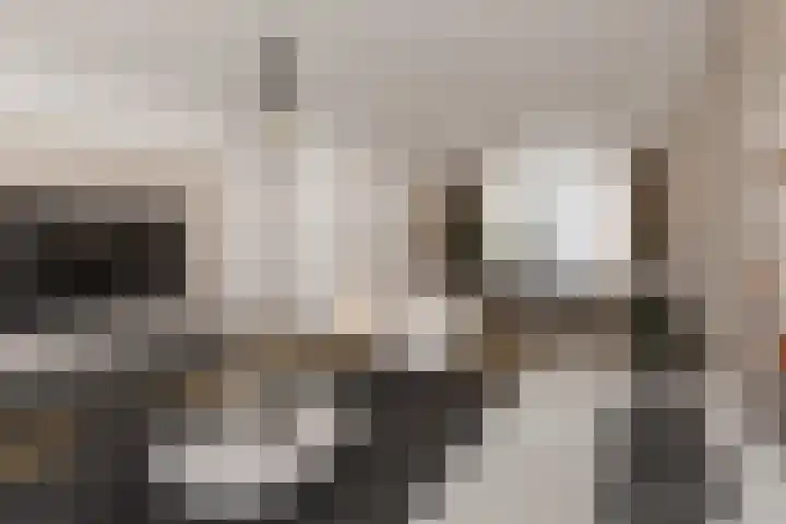 Wingerd 16 Geldrop thumbnail 17