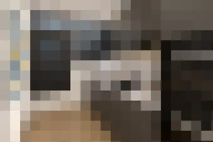 Wingerd 16 Geldrop thumbnail 18
