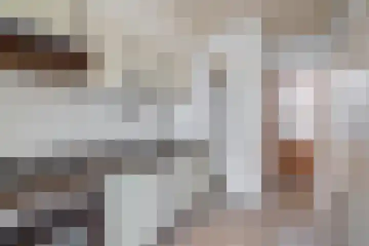 Wingerd 16 Geldrop thumbnail 19