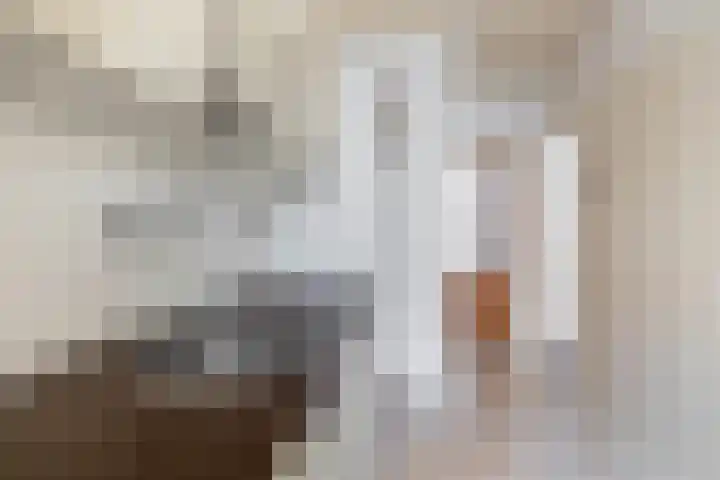Wingerd 16 Geldrop thumbnail 20