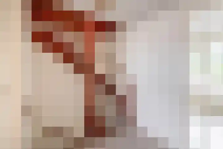 Wingerd 16 Geldrop thumbnail 24