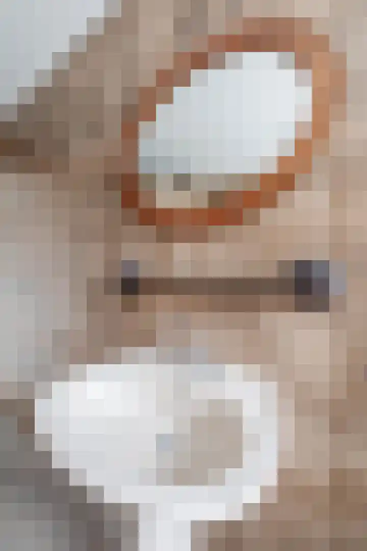 Wingerd 16 Geldrop thumbnail 26