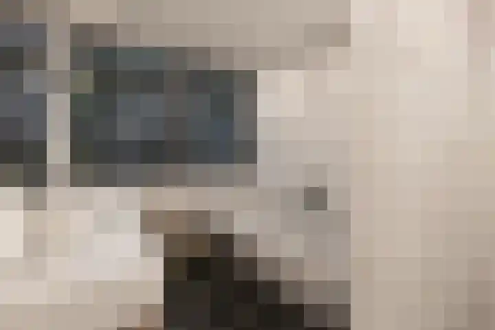Wingerd 16 Geldrop thumbnail 29