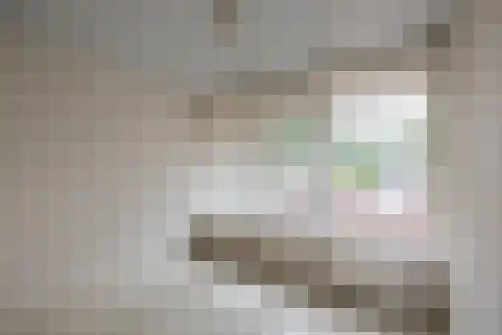 Wingerd 16 Geldrop thumbnail 31