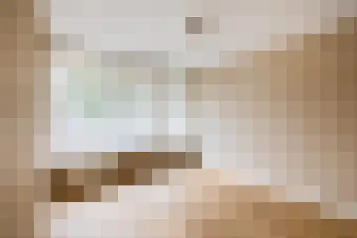 Wingerd 16 Geldrop thumbnail 32
