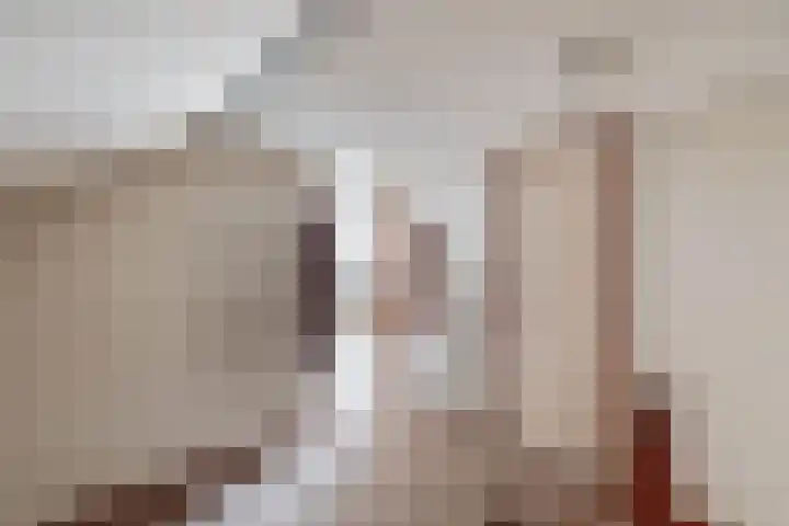 Wingerd 16 Geldrop thumbnail 34