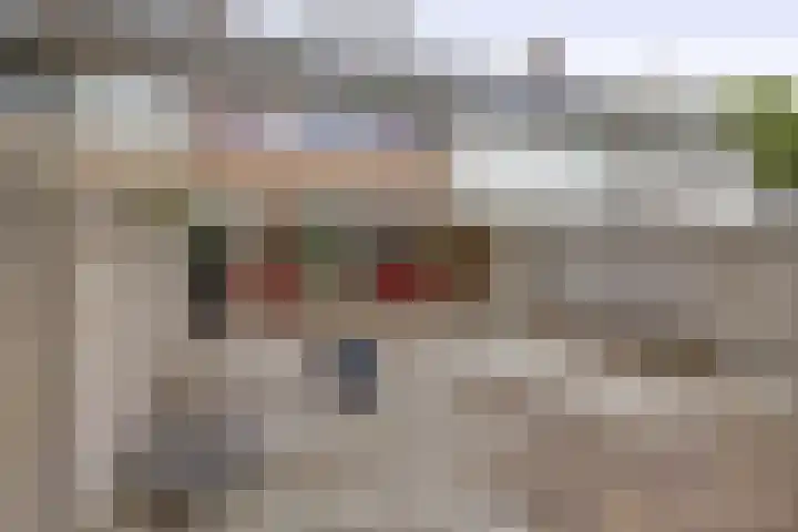 Wingerd 16 Geldrop thumbnail 38