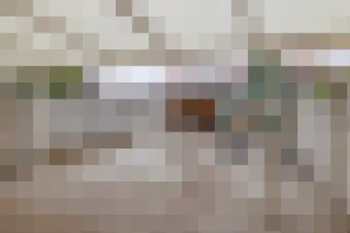 Wingerd 16 Geldrop thumbnail 5
