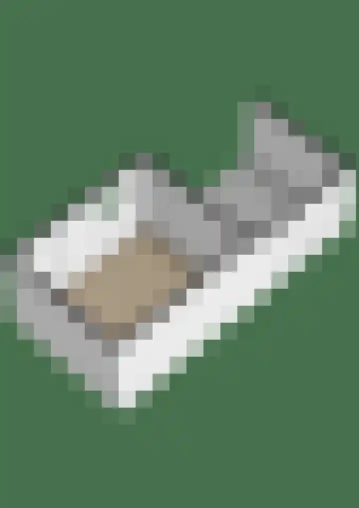 Wingerd 16 Geldrop thumbnail 52