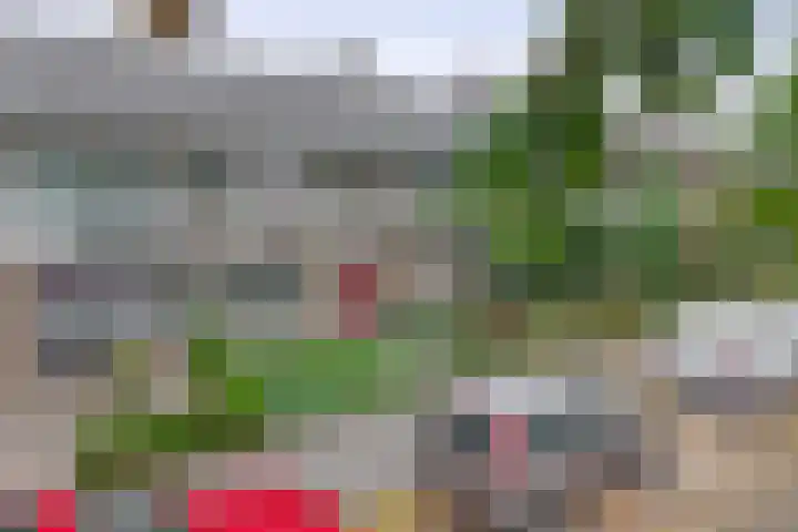 Wingerd 16 Geldrop thumbnail 6