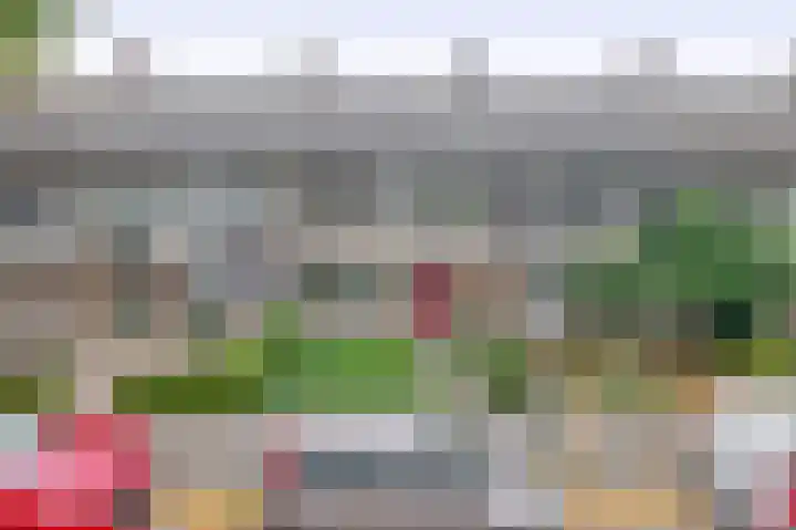 Wingerd 16 Geldrop thumbnail 7