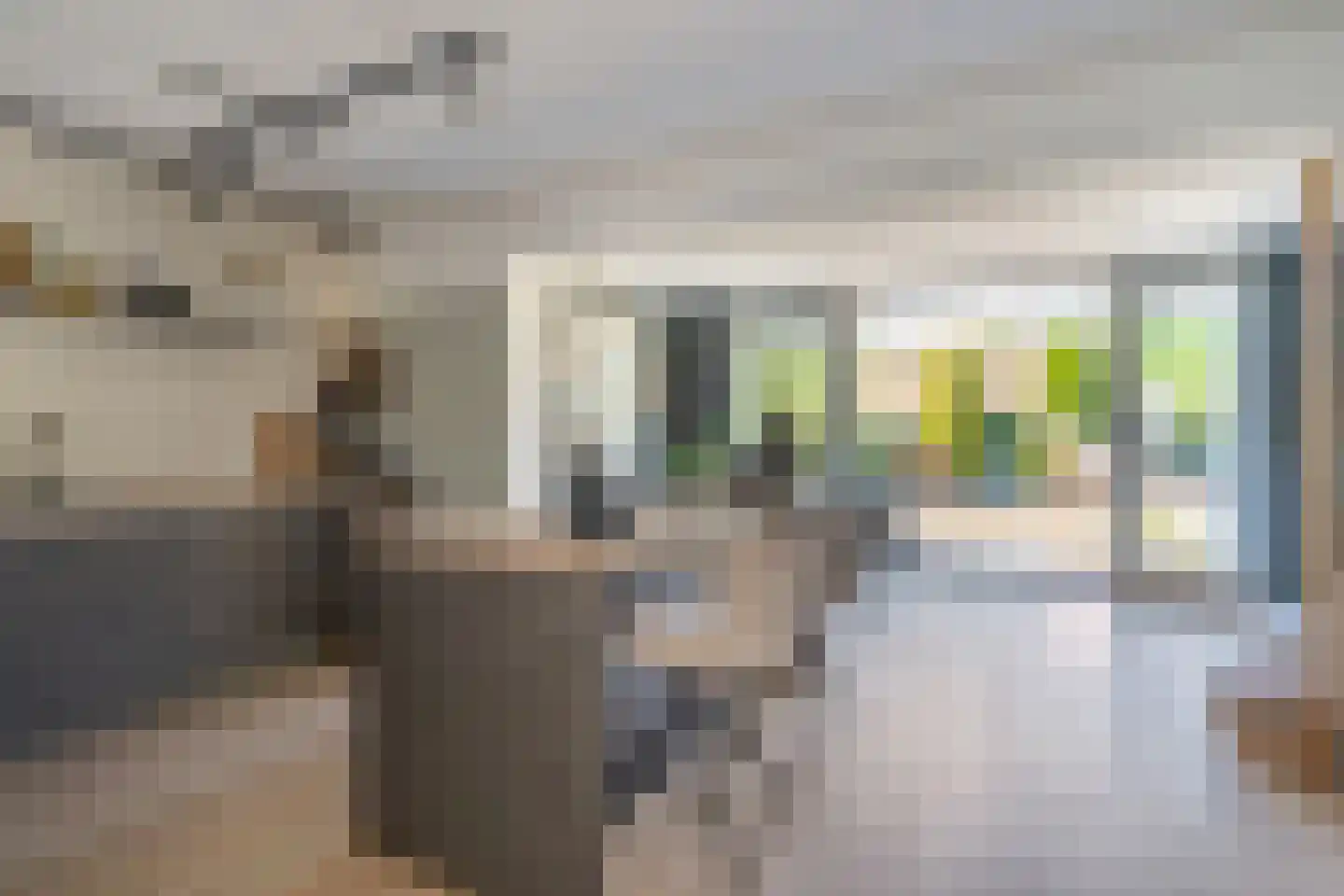 Wingerd 198 Den Haag thumbnail 4