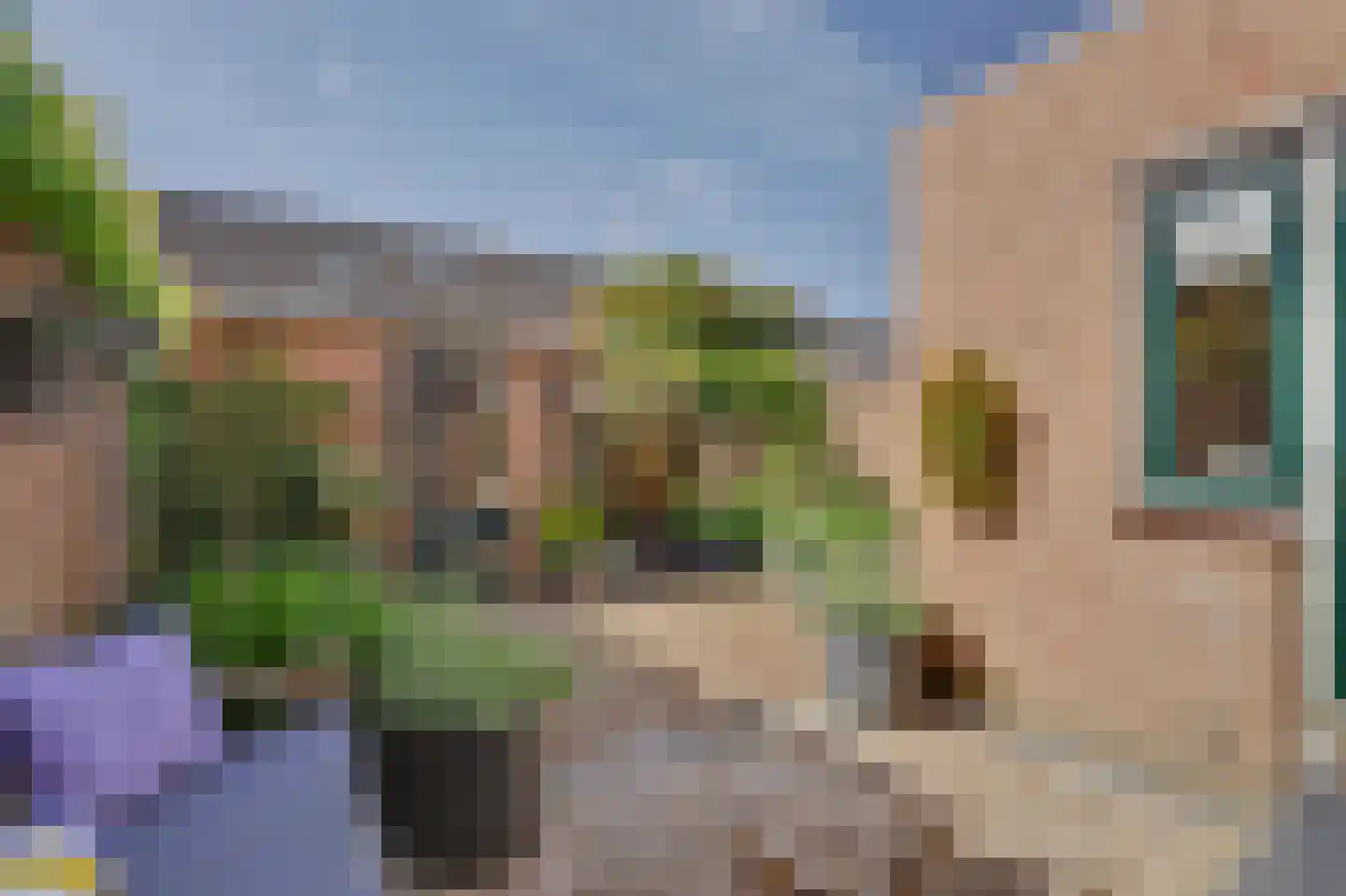 Wingerd 2 Rijnsburg thumbnail 42