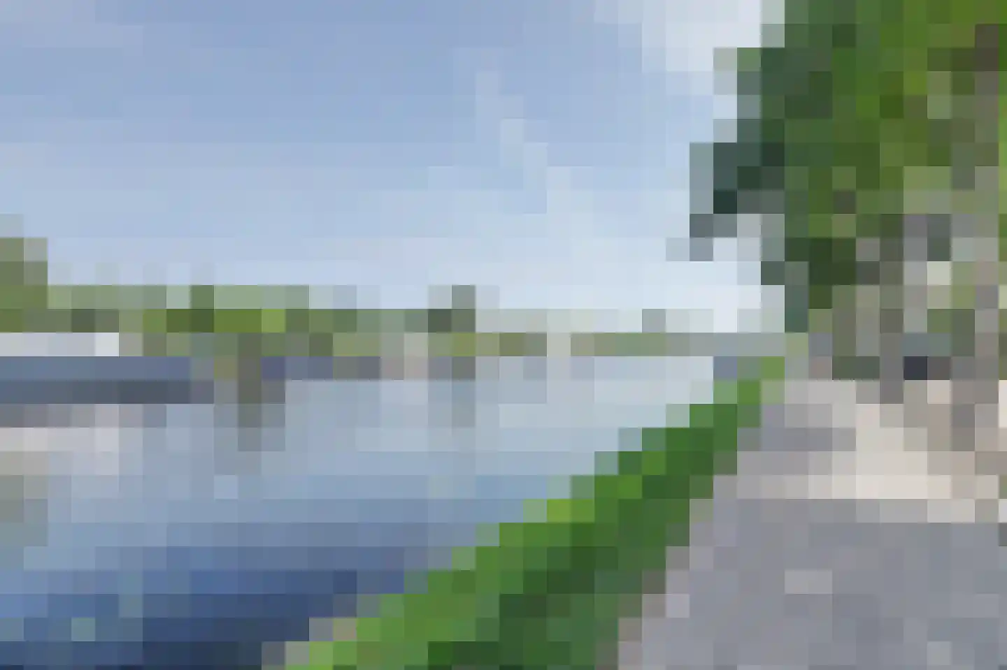 Wingerd 2 Rijnsburg thumbnail 50