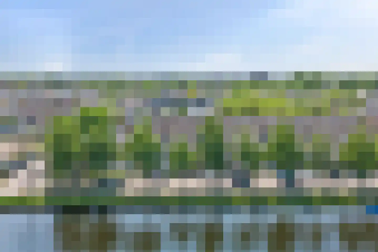 Wingerd 2 Rijnsburg thumbnail 54