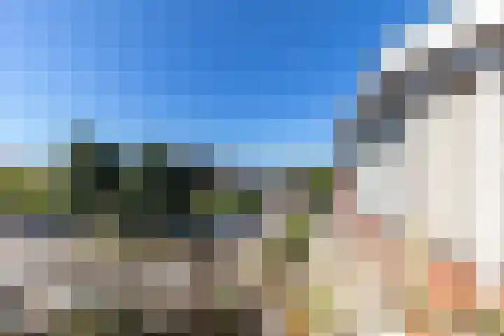 Wingerd 25 Ulft thumbnail 31