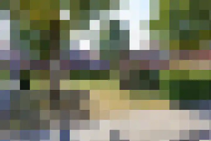 Wingerd 25 Ulft thumbnail 37