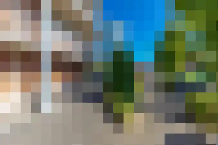 Wingerd 25 Ulft thumbnail 4
