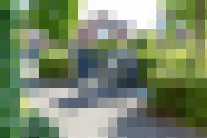 Wingerd 25 Ulft thumbnail 5