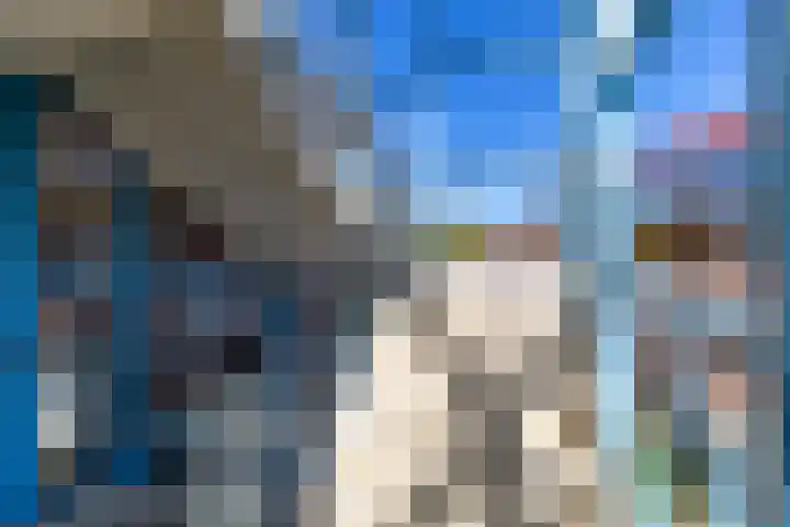 Wingerd 25 Ulft thumbnail 9