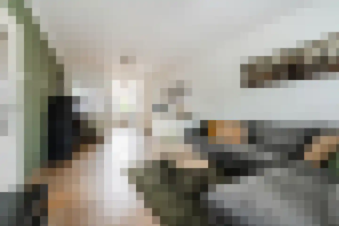 Wingerd 26 Geldrop thumbnail 10
