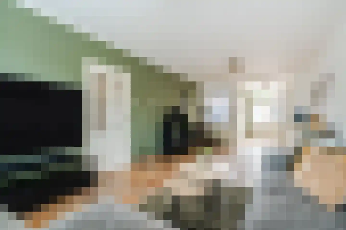 Wingerd 26 Geldrop thumbnail 11