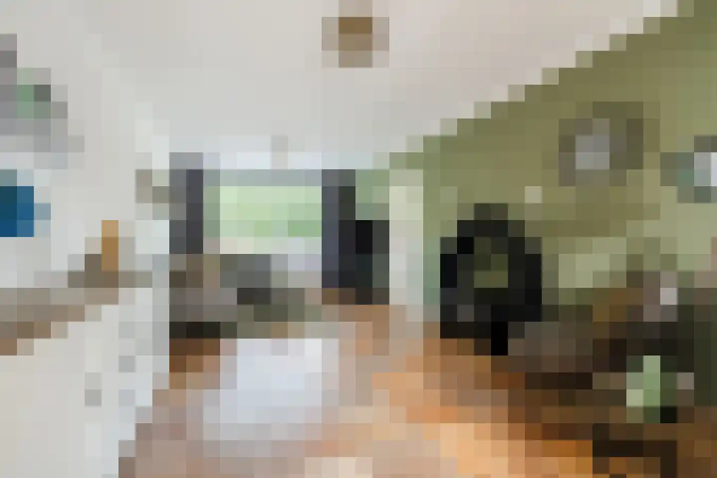 Wingerd 26 Geldrop thumbnail 13