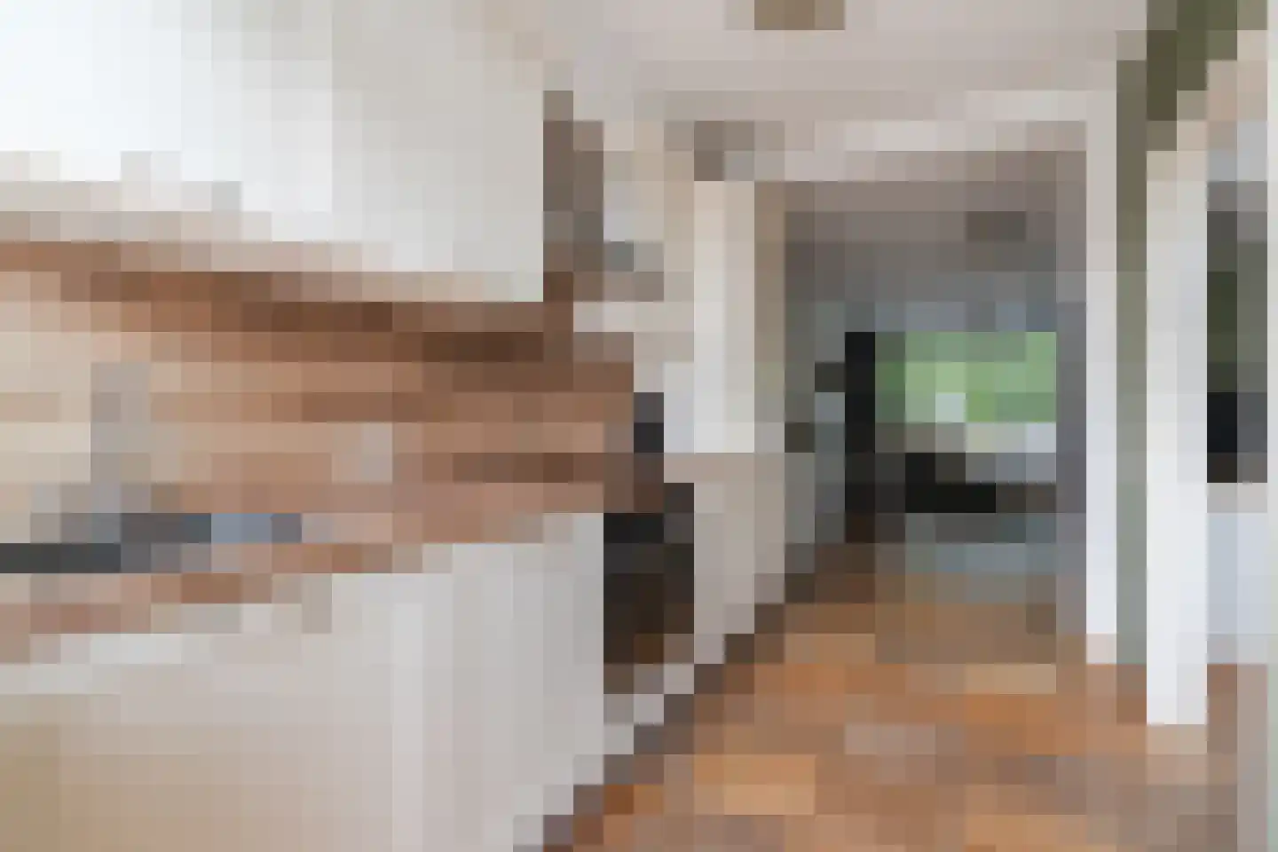 Wingerd 26 Geldrop thumbnail 19