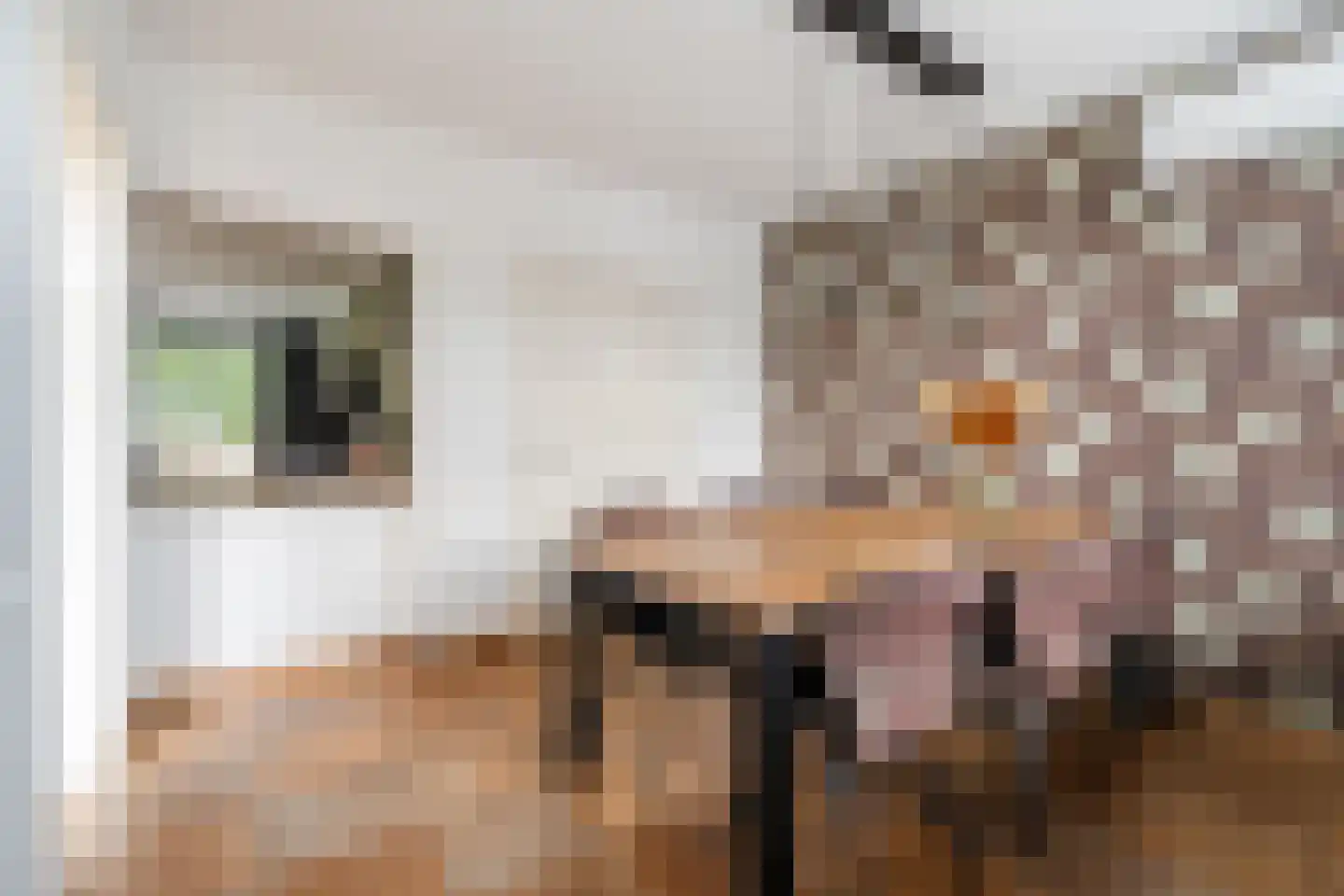 Wingerd 26 Geldrop thumbnail 23
