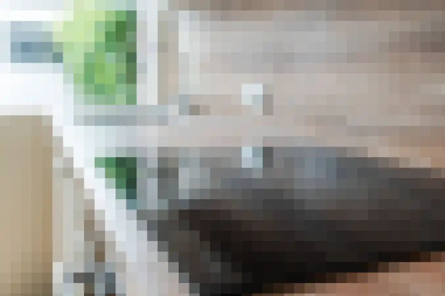 Wingerd 26 Geldrop thumbnail 25