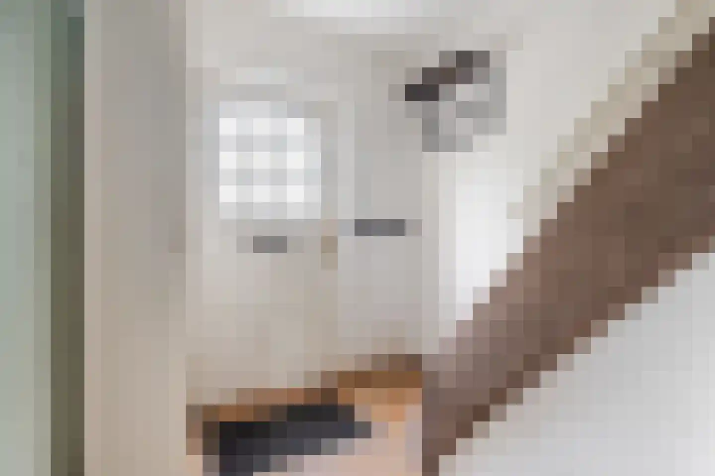 Wingerd 26 Geldrop thumbnail 26