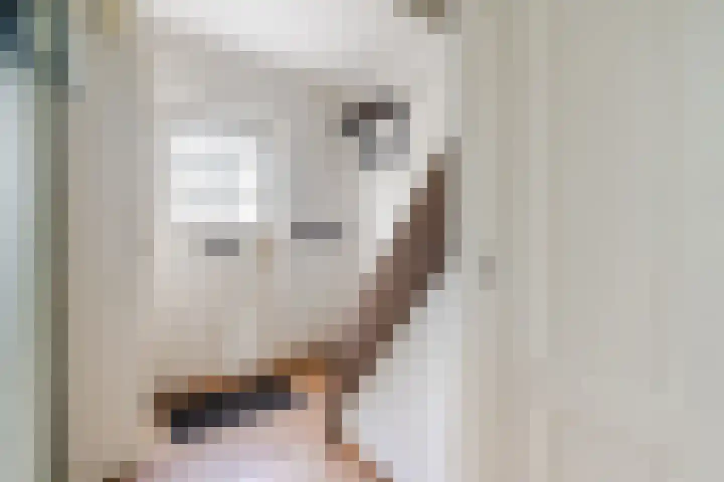 Wingerd 26 Geldrop thumbnail 27
