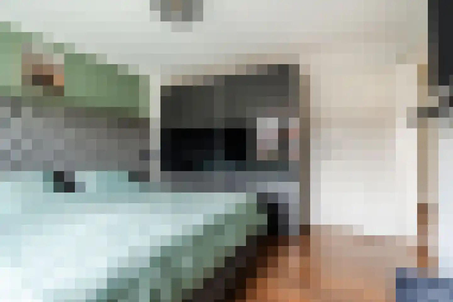 Wingerd 26 Geldrop thumbnail 33
