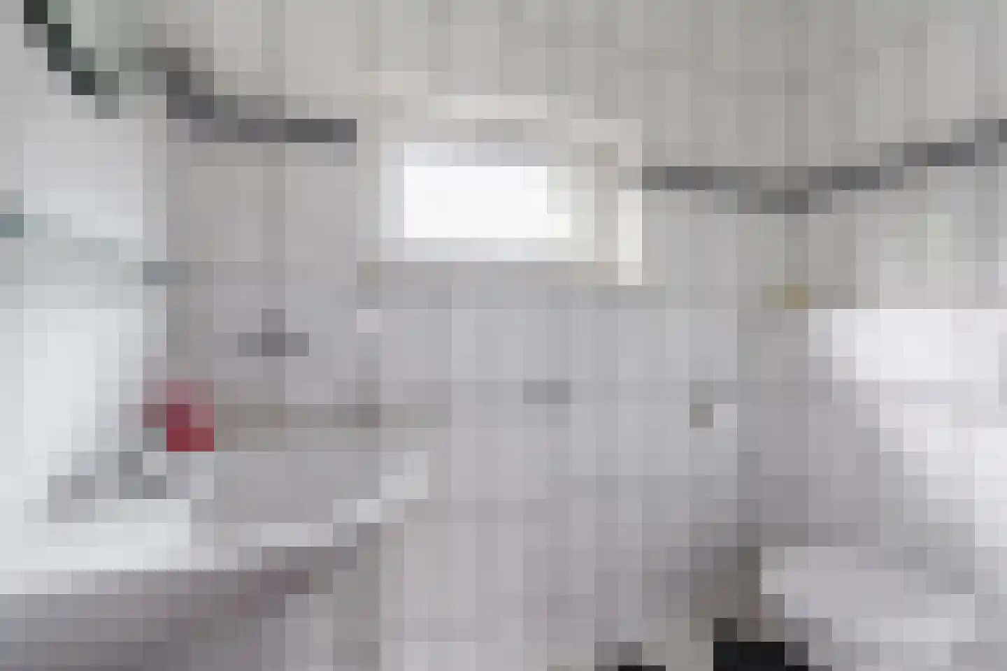 Wingerd 26 Geldrop thumbnail 40