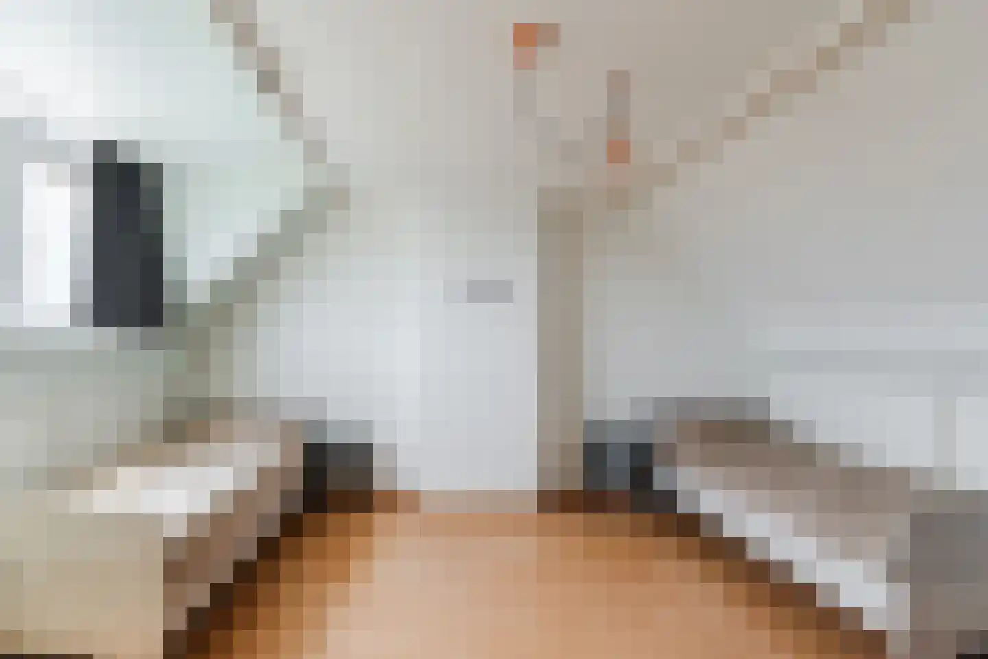 Wingerd 26 Geldrop thumbnail 44