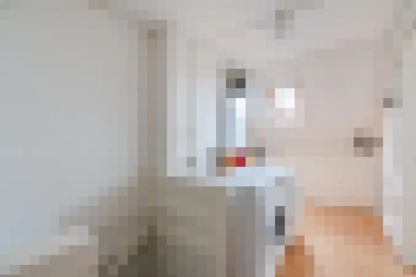 Wingerd 26 Geldrop thumbnail 47