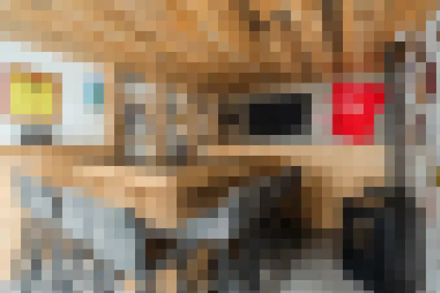 Wingerd 26 Geldrop thumbnail 49