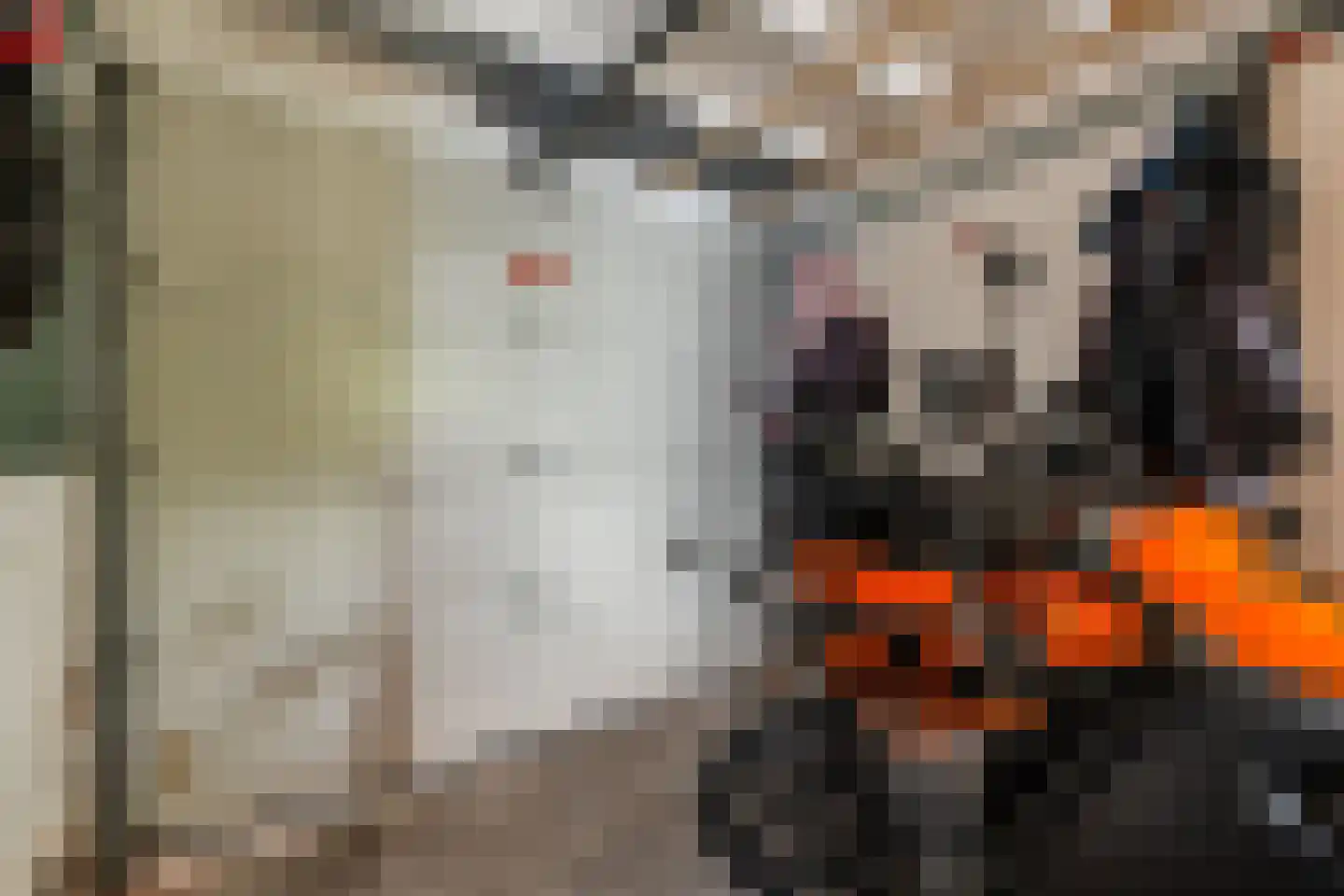 Wingerd 26 Geldrop thumbnail 52